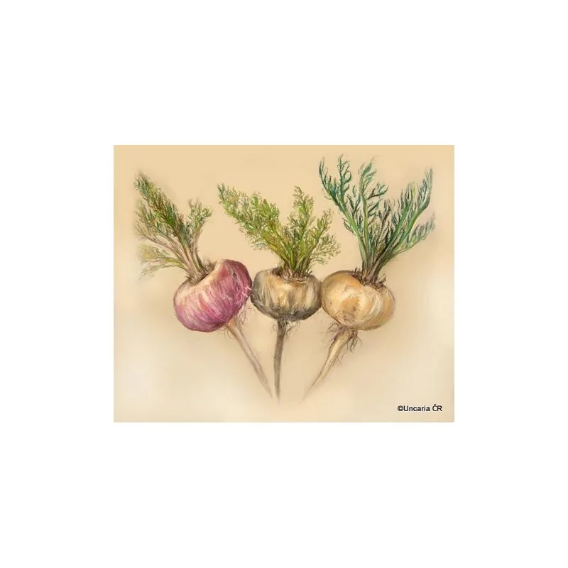 Peruánská Maca Maka