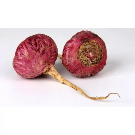 Maka Roja Osteo Gelandina 90 CPS Original Uncaria®