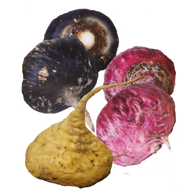 Maka Roja Osteo Gelandina 90 CPS Original Uncaria®