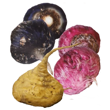 Maka Roja Osteo Gelandina 90 CPS Original Uncaria®