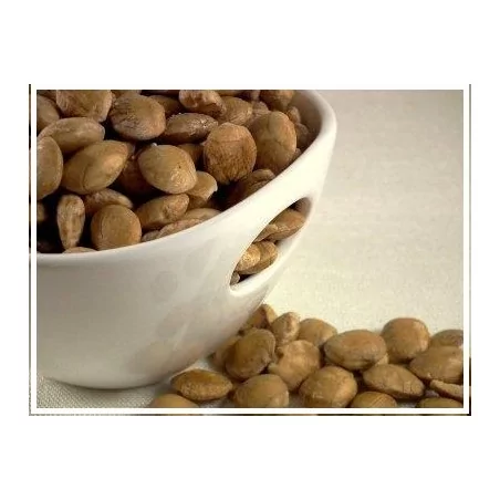 SACHA INCHI OMEGA 3 FORTE Original Uncaria ®