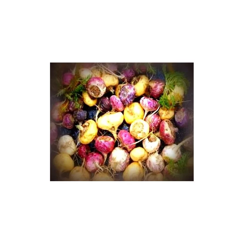 Maka Duo pack Gelandina 2x 100 g