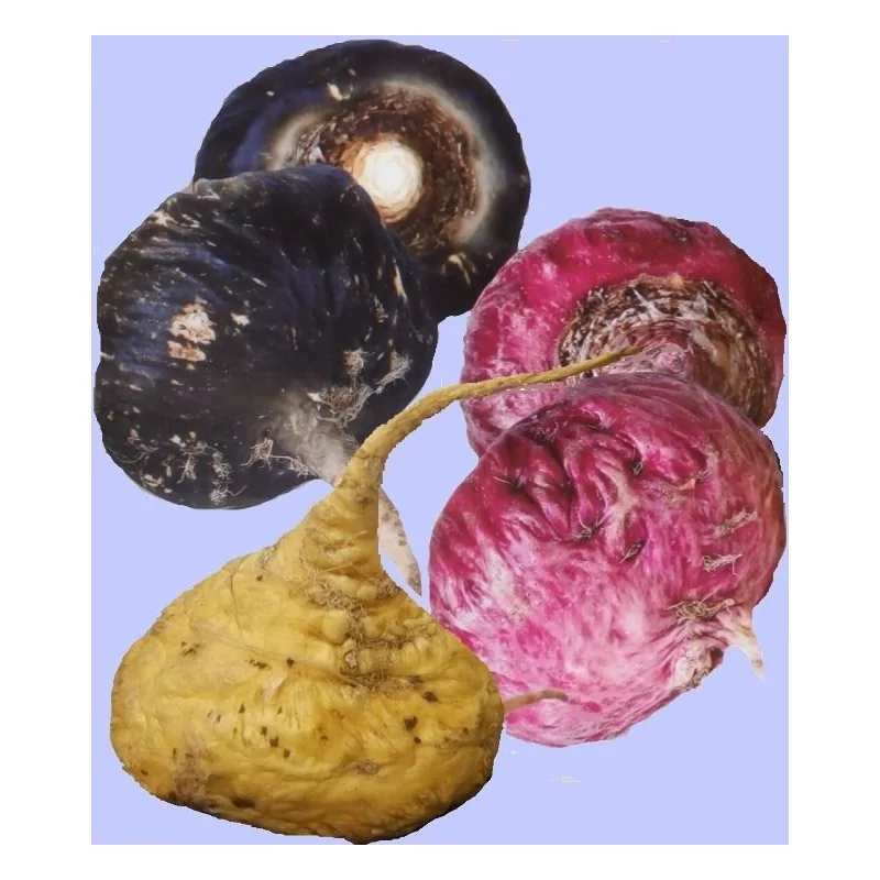 Maka Duo pack Gelandina 2x 100 g