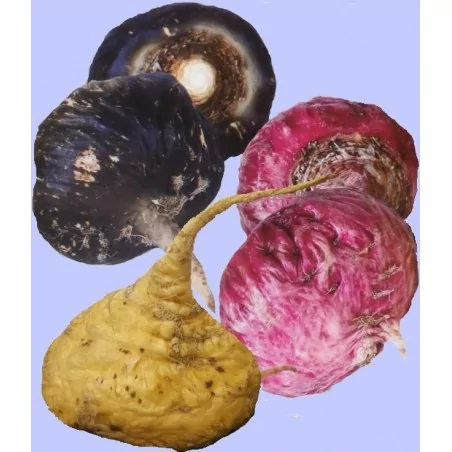 Maka Duo pack Gelandina 2x 100 g