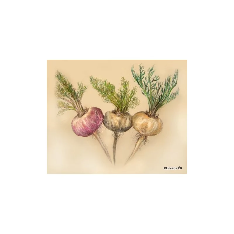 Maka Duo pack Gelandina 2x 100 g