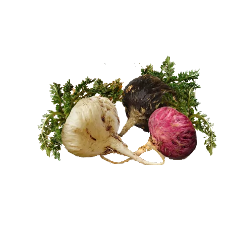 Maka Duo pack Gelandina 2x 100 g