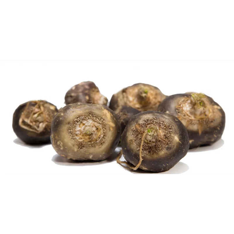 Testovací duopack cps