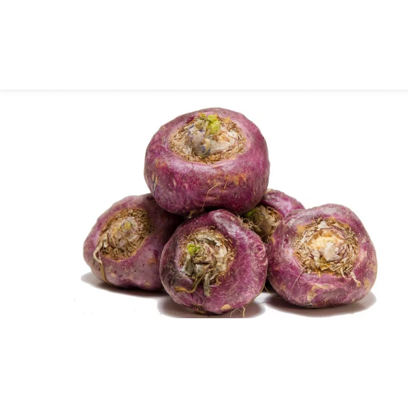 Testovací duopack cps