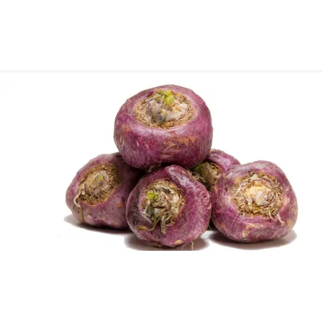 Testovací duopack cps