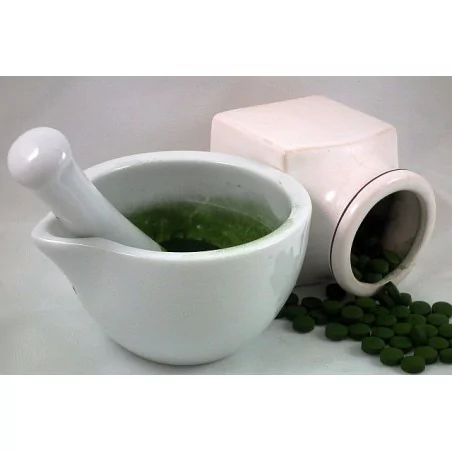 Chlorella pyrenoidosa GW