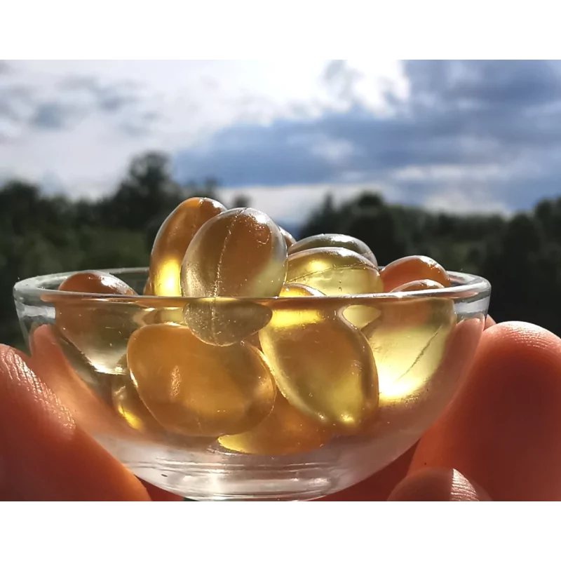 SACHA INCHI OMEGA 3 FORTE Original Uncaria ®