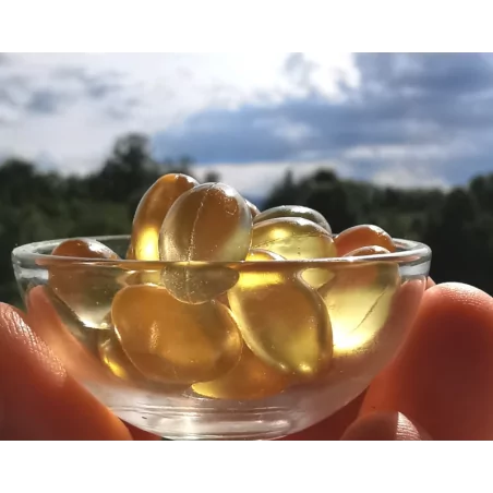 SACHA INCHI OMEGA 3 FORTE Original Uncaria ®