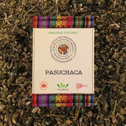Pasuchaca