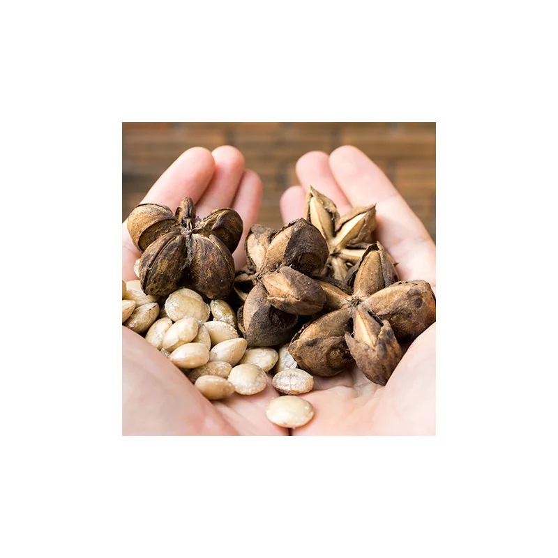 Sacha Inchi olej Original Uncaria® 250 ml