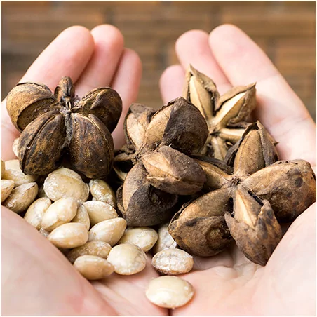 Sacha Inchi olej Original Uncaria® 250 ml