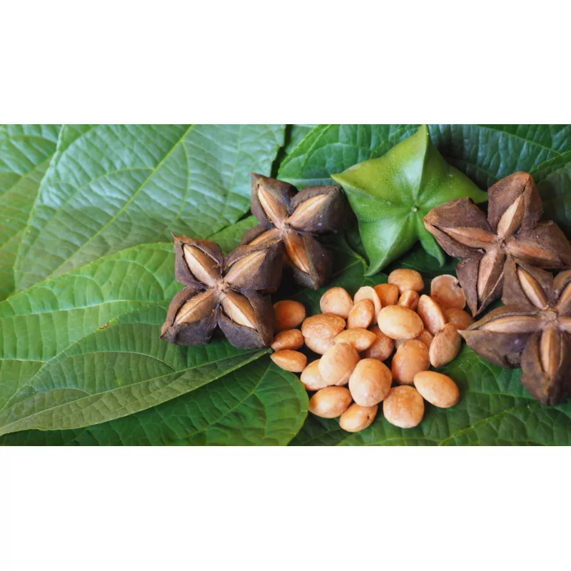 Sacha Inchi olej Original Uncaria® 250 ml