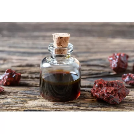 Sangre de drago 3 +1