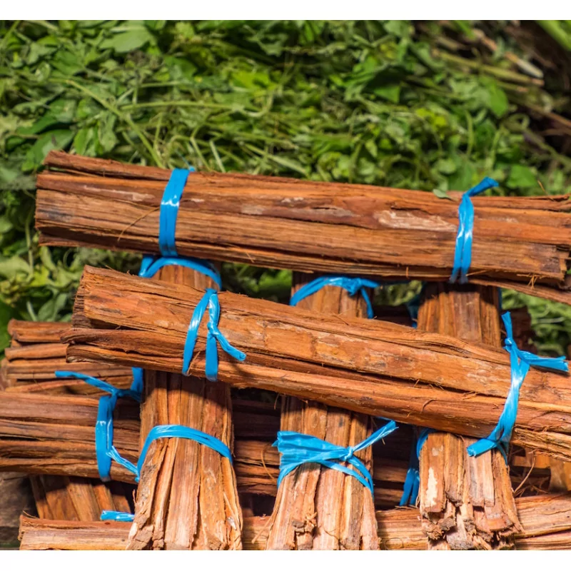 Vilcacora extrakt 90 cps