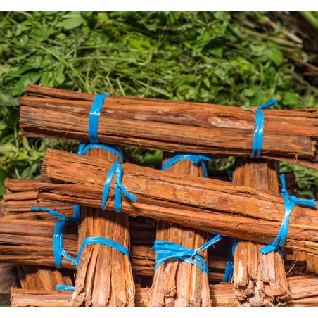 Vilcacora extrakt 90 cps