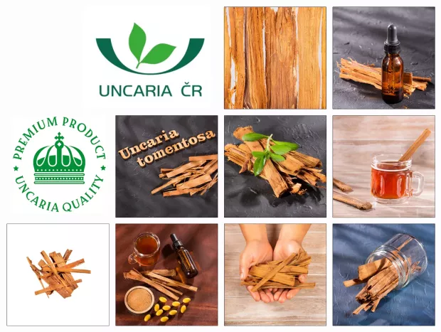 Vilcacora extrakt 90 cps