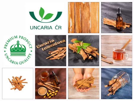 Vilcacora extrakt 90 cps