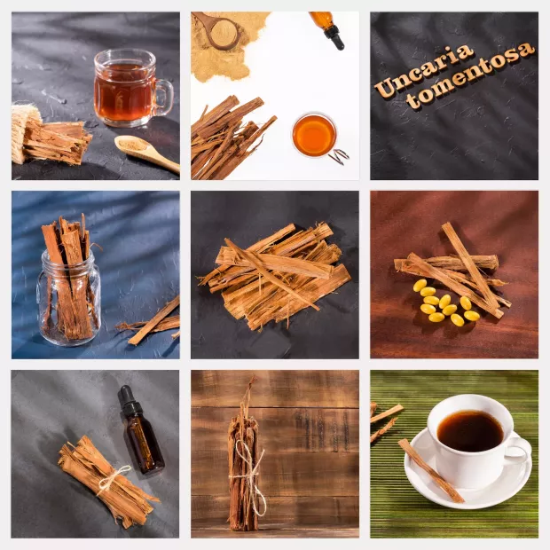 Vilcacora extrakt 90 cps