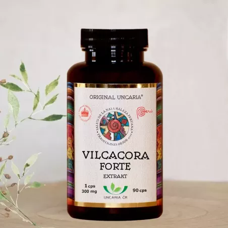 Vilcacora extrakt 90 cps