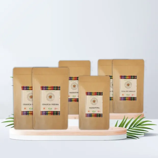 Močové cesty a ledviny