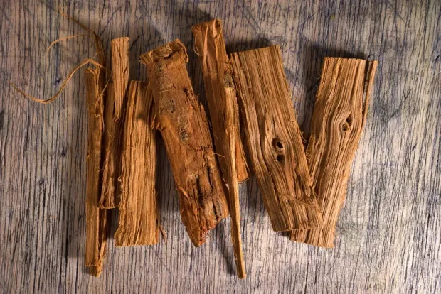 Uncaria & Croton Synergy