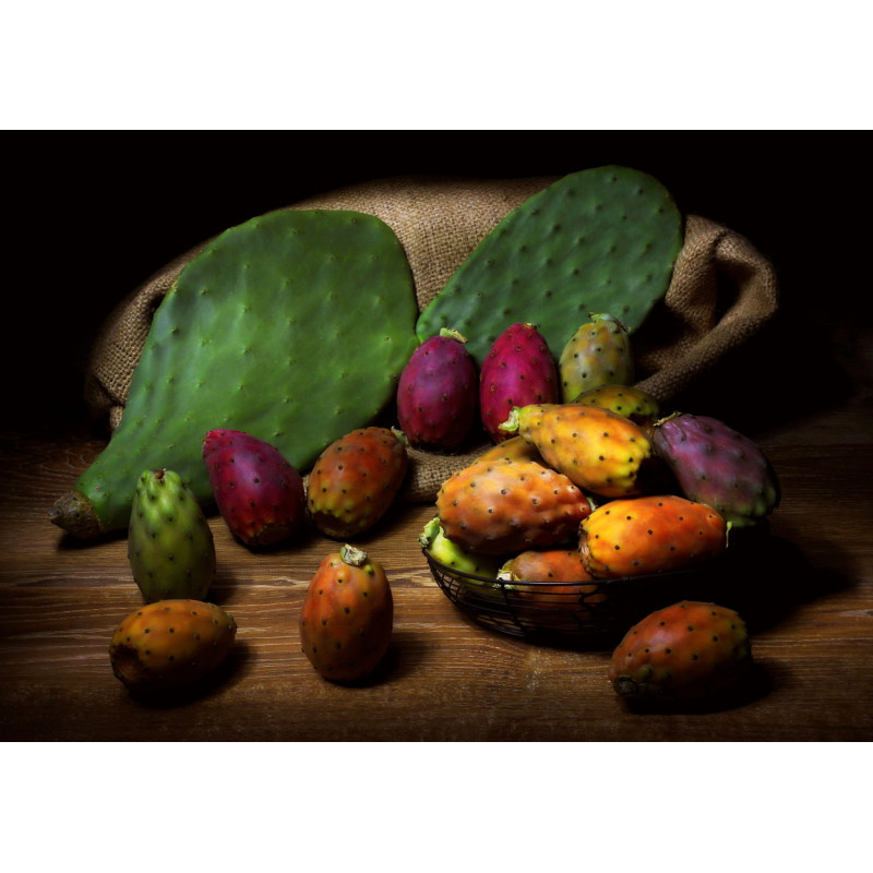 Nopal prášek v kapslích