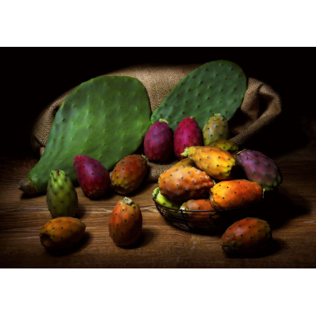 copy of Nopal Original Uncaria® v kapslích