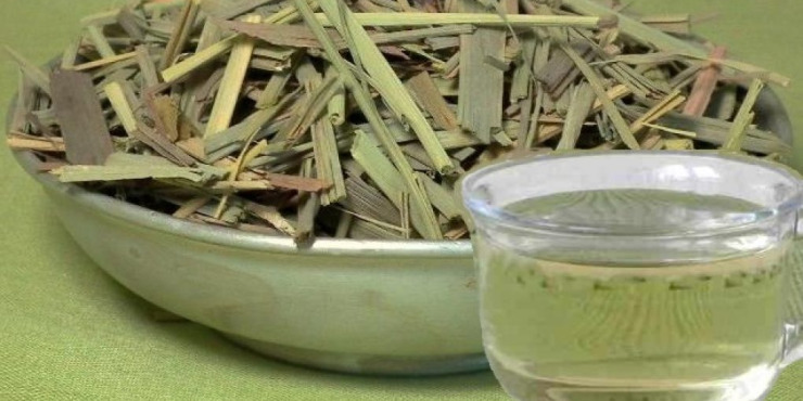  HIERBA LUISA – BYLINKA, KTEROU MOŽNÁ NEZNÁTE