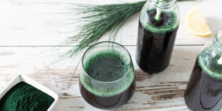 SPIRULINA A DETOXIKACE